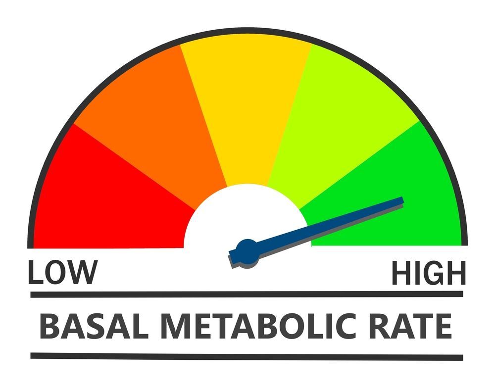 Pin on Basal Metabolic Rate Calculation Tool (BMR)