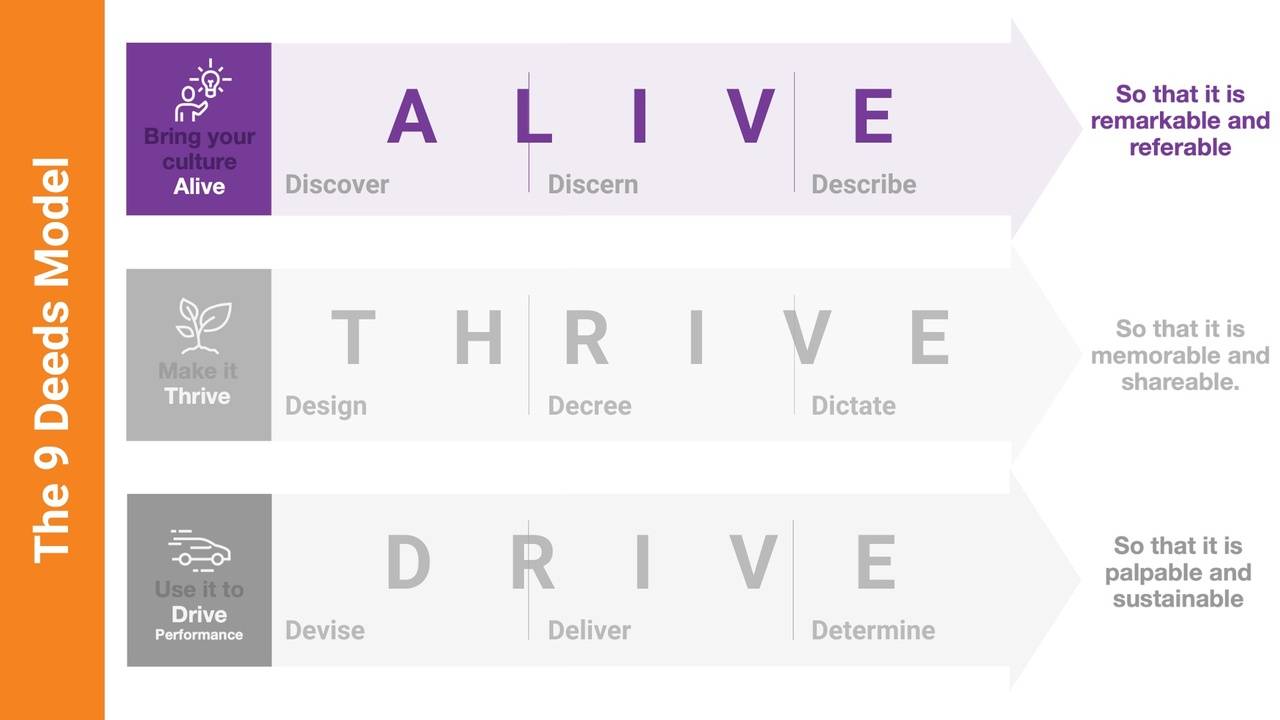 Discover Discern Describe