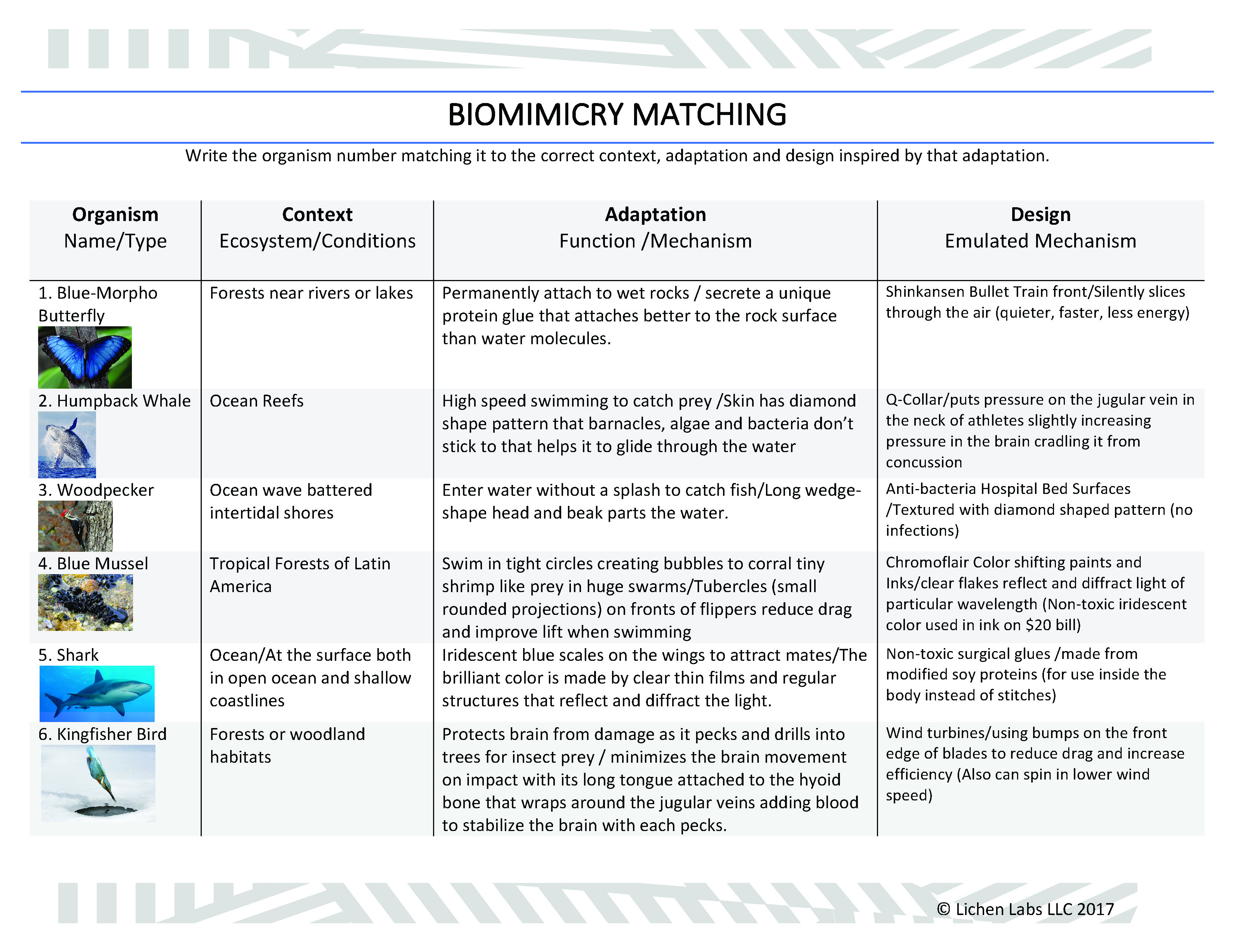 Biomimicry Matching Exercise