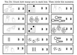 Screenshot of Rocket Math's Counting Objects worksheet showing 15 boxes all with their own images, then two numbers next to the images for students to choose from.